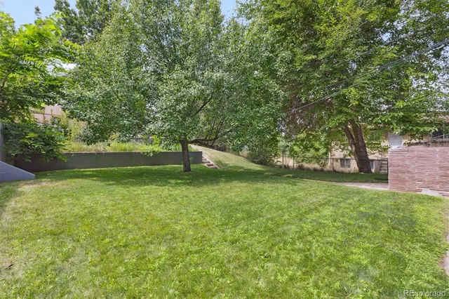 a view of a trees in a yard