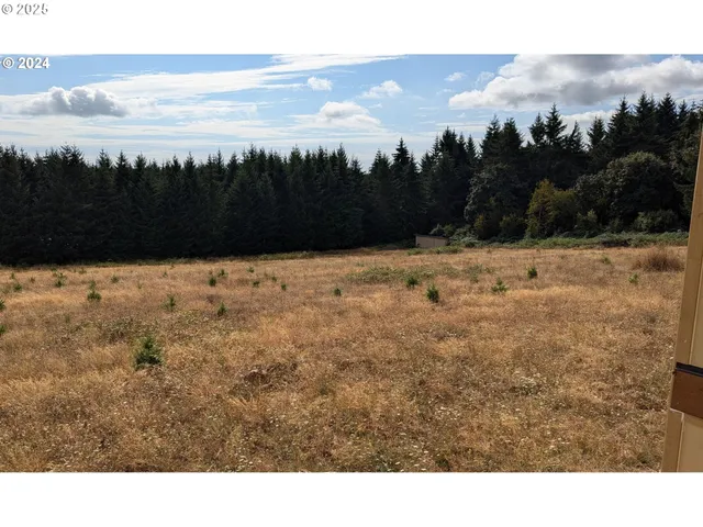 $1,100,000 | 16575 Southeast Woodland Heights Road, Amity, OR 97101