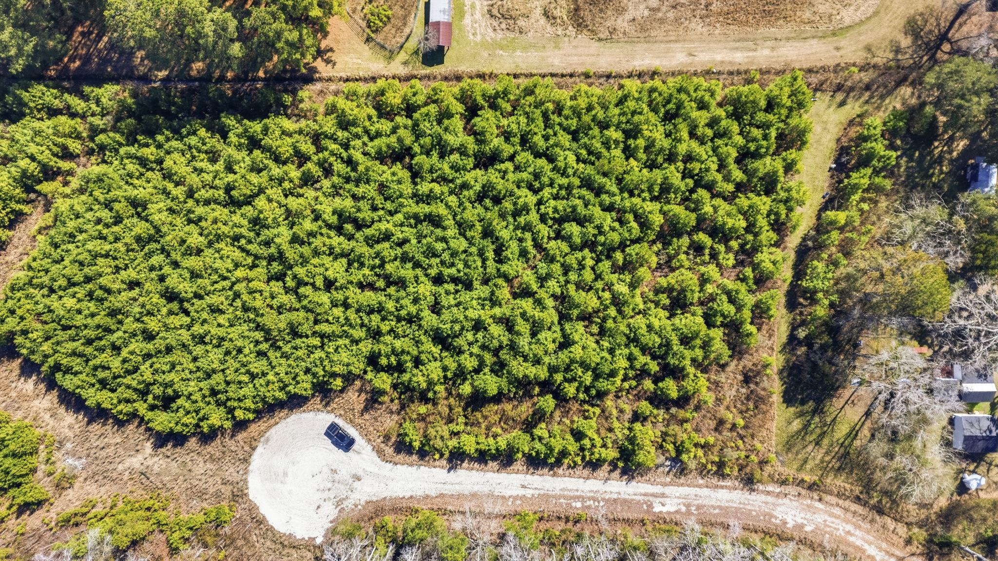 Tbd Lot 5 Old Reaves Ferry Road Conway, SC 29526 - Photo 3 of 40