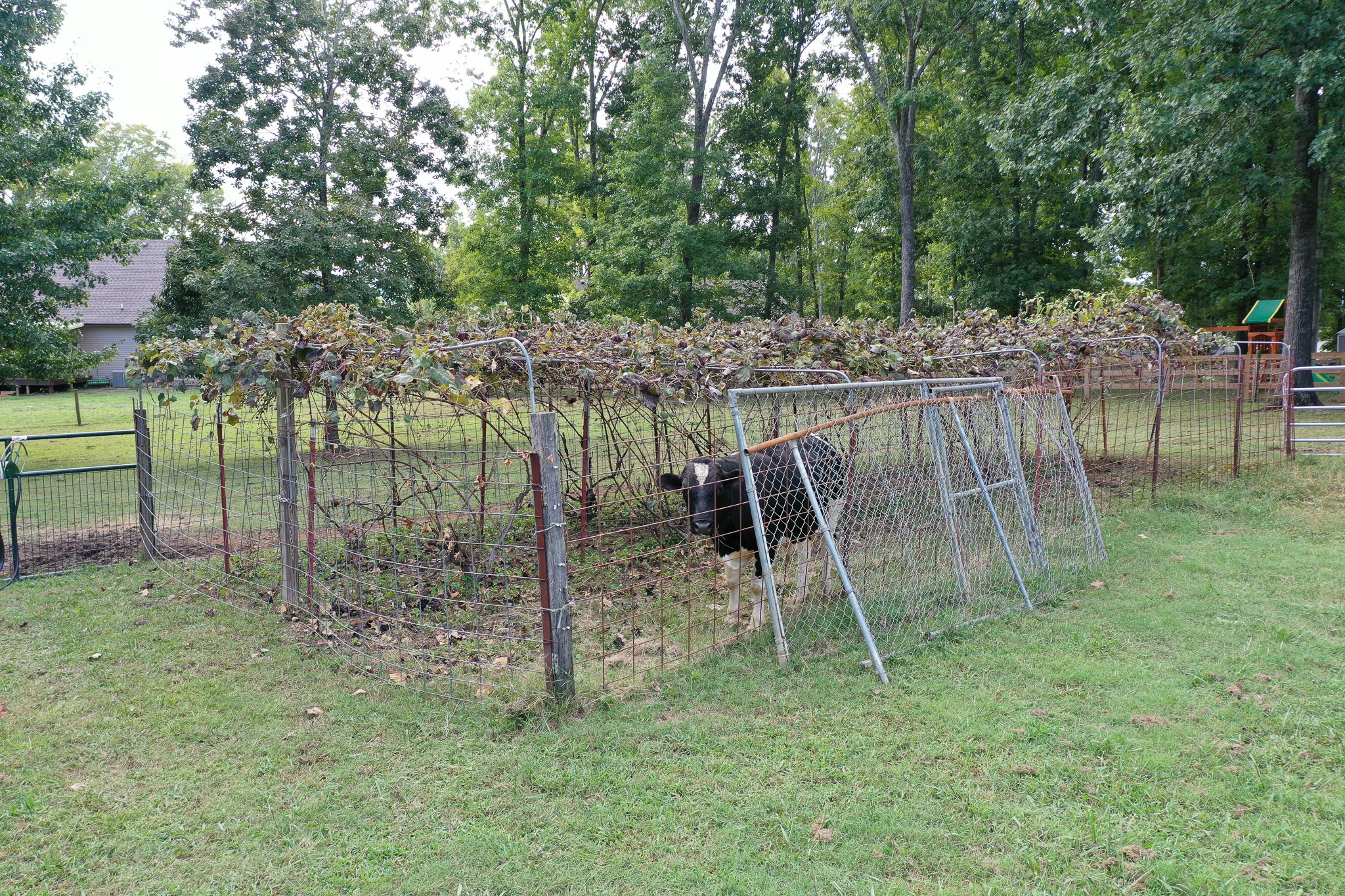1234 Yell Road Lewisburg, TN 37091 - Photo 21 of 44 Gallery Image 21