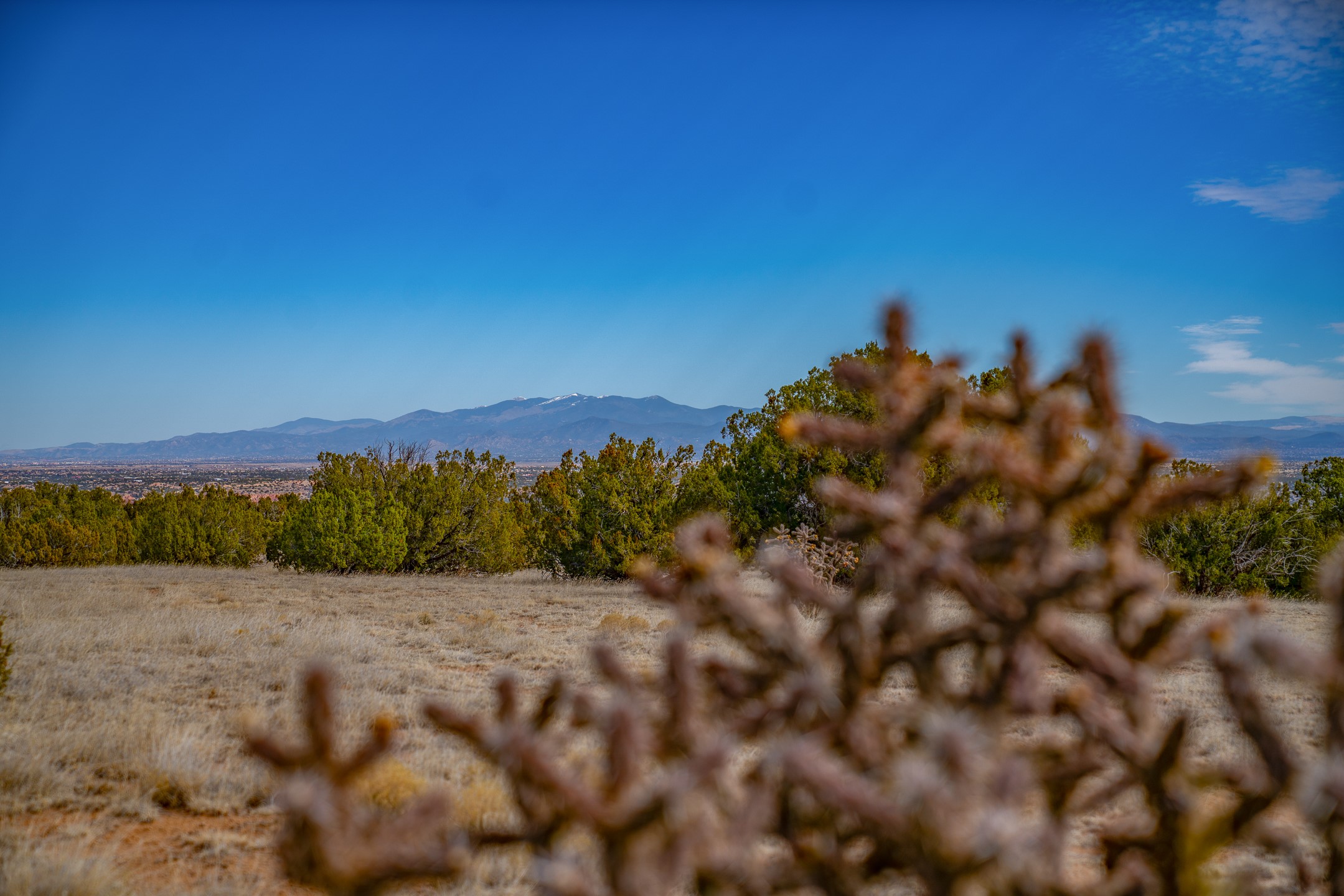 65 Grenfell Ranch Road Cerrillos, NM 87010 - Photo 4 of 46