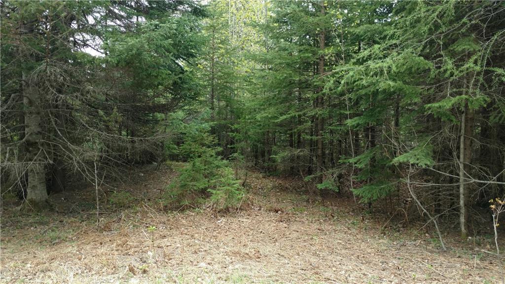 Lot 2 Dodge Pond Road Rangeley, ME 04970 - Photo 3 of 8 Photo