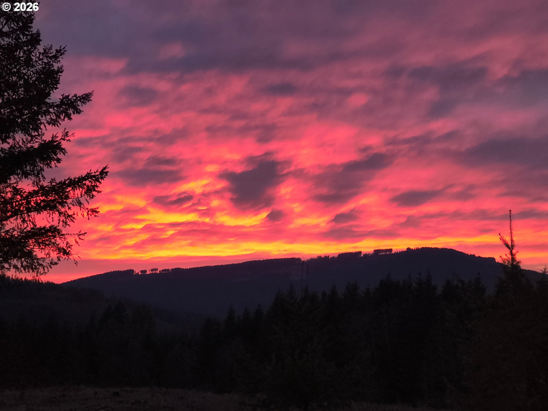 23009 Northeast Dole Valley Road Yacolt, WA 98675 - Photo 46 of 48