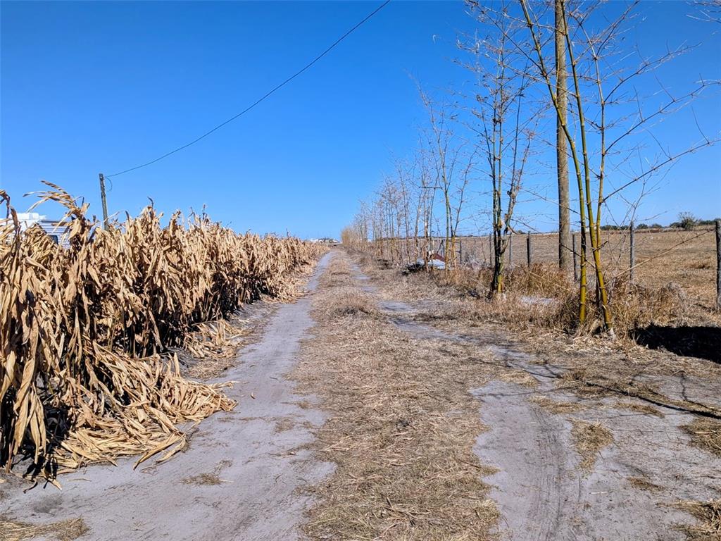 46683 Peeples Lane Wauchula, FL 33873 - Photo 18 of 21 a view of dirt yard with a tree