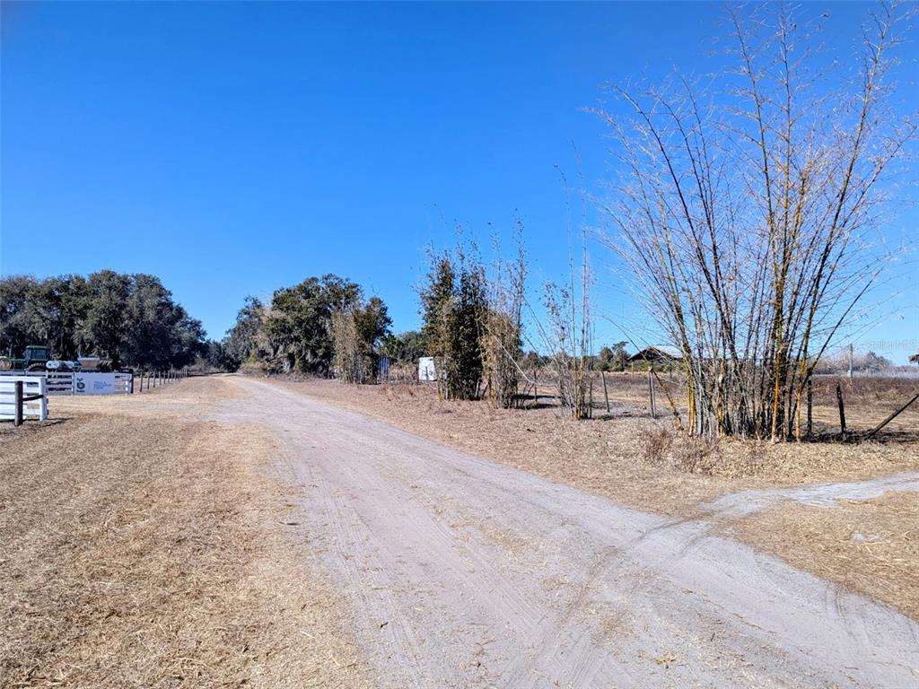 46683 Peeples Lane Wauchula, FL 33873 - Photo 6 of 21 a view of outdoor space yard and trees