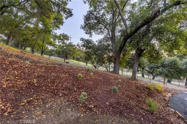 a view of a yard with a tree
