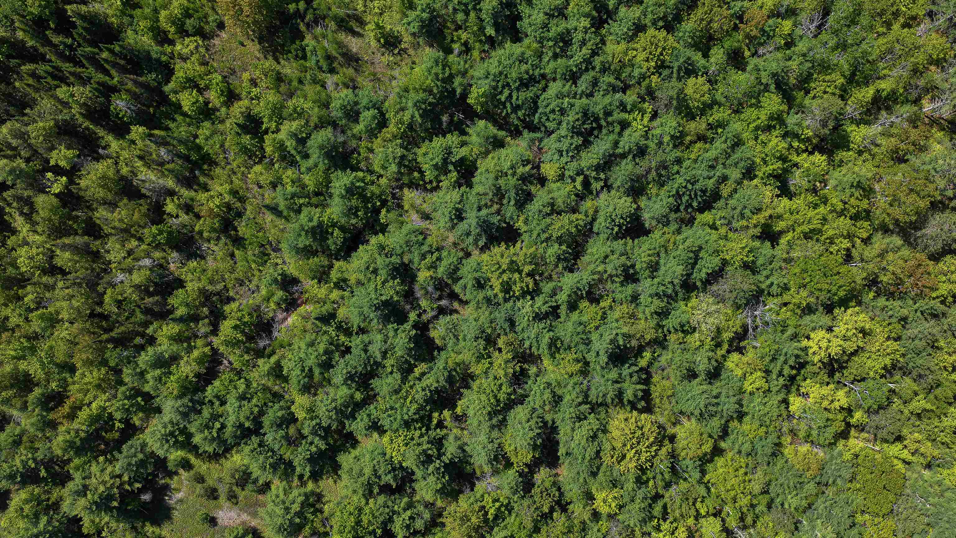 Lot 2-2 Riverbend Road Brownfield, ME 04010 - Photo 11 of 21 Gallery Image 11