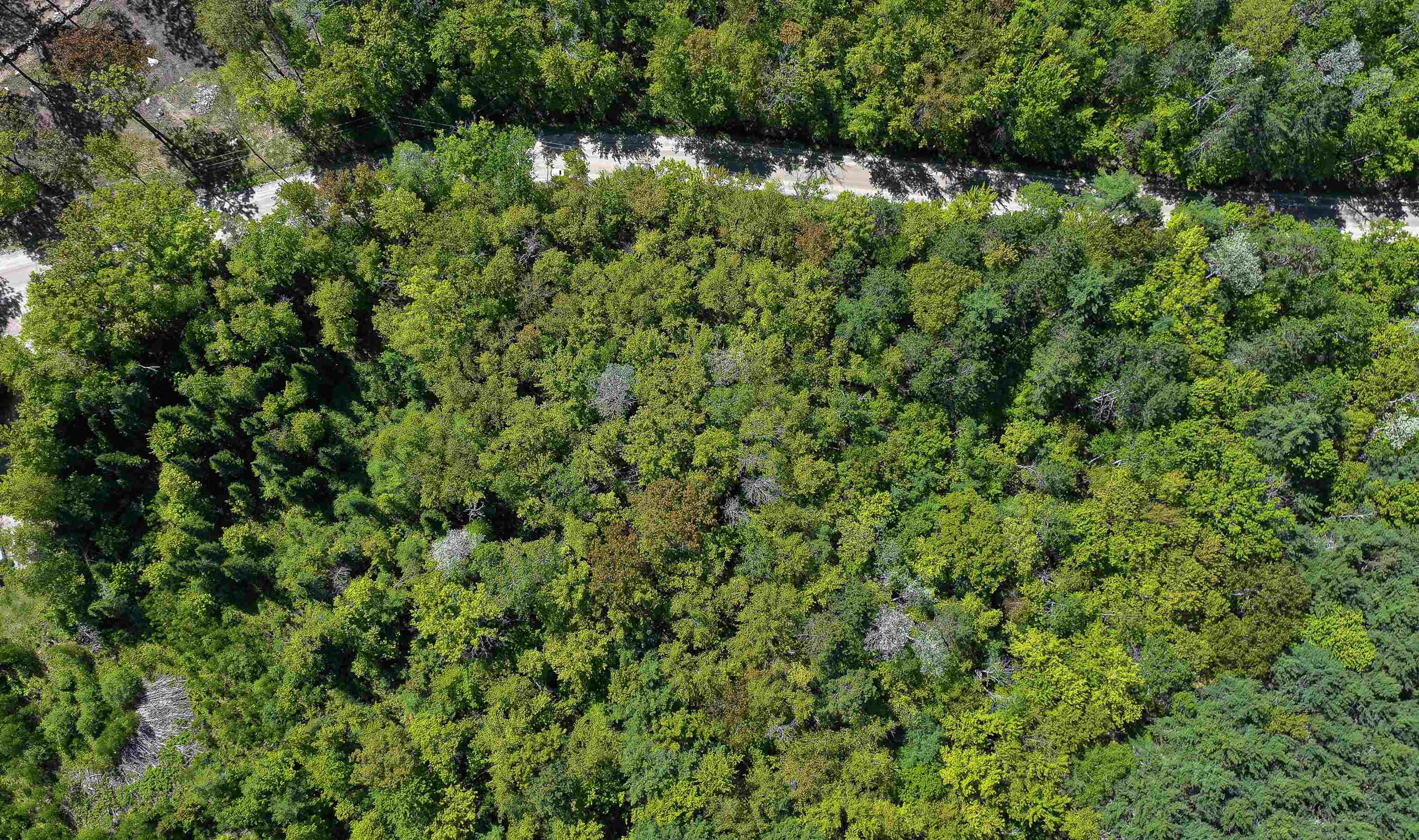 Lot 2-2 Riverbend Road Brownfield, ME 04010 - Photo 16 of 21 Gallery Image 16