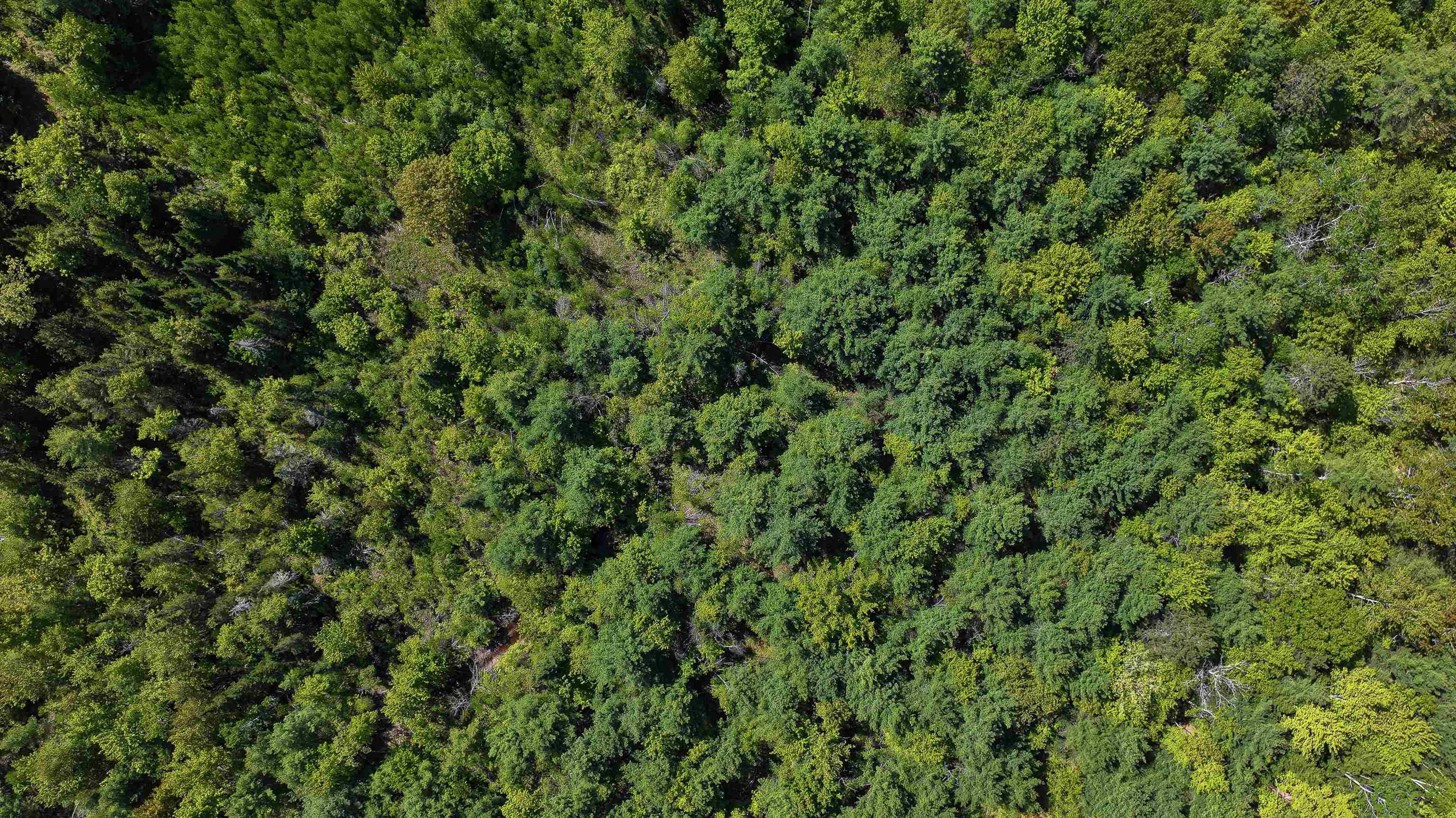 Lot 2-2 Riverbend Road Brownfield, ME 04010 - Photo 9 of 21 Gallery Image 9