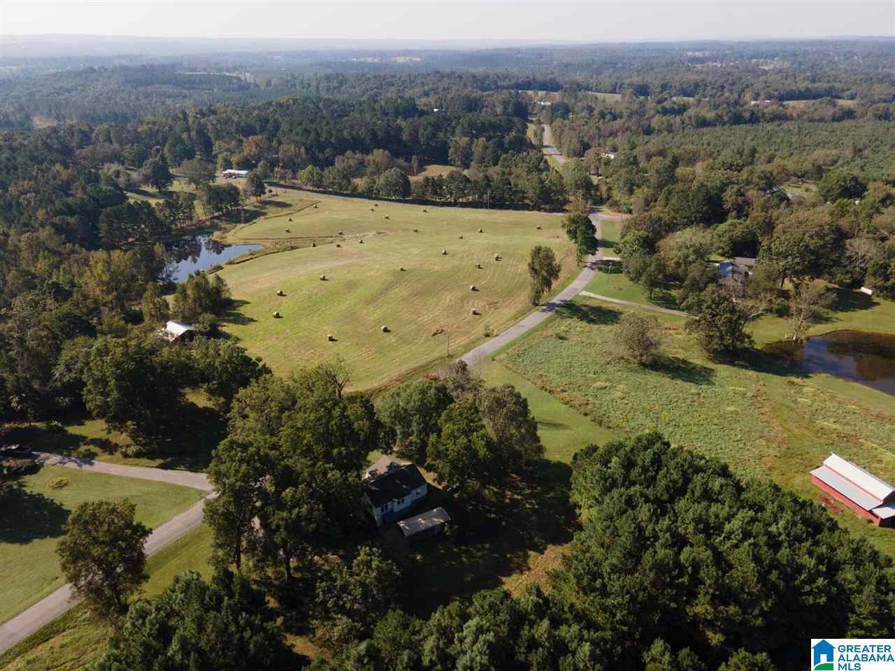 1697 Robin Hill Road Oneonta, AL 35121 - Photo 50 of 50