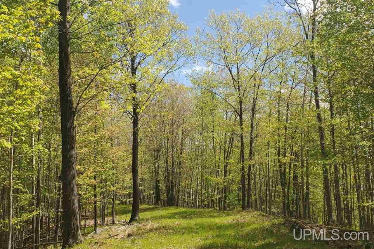 Tbd Hydraulic Falls Road Iron Mountain, MI 49802 - Photo 2 of 7