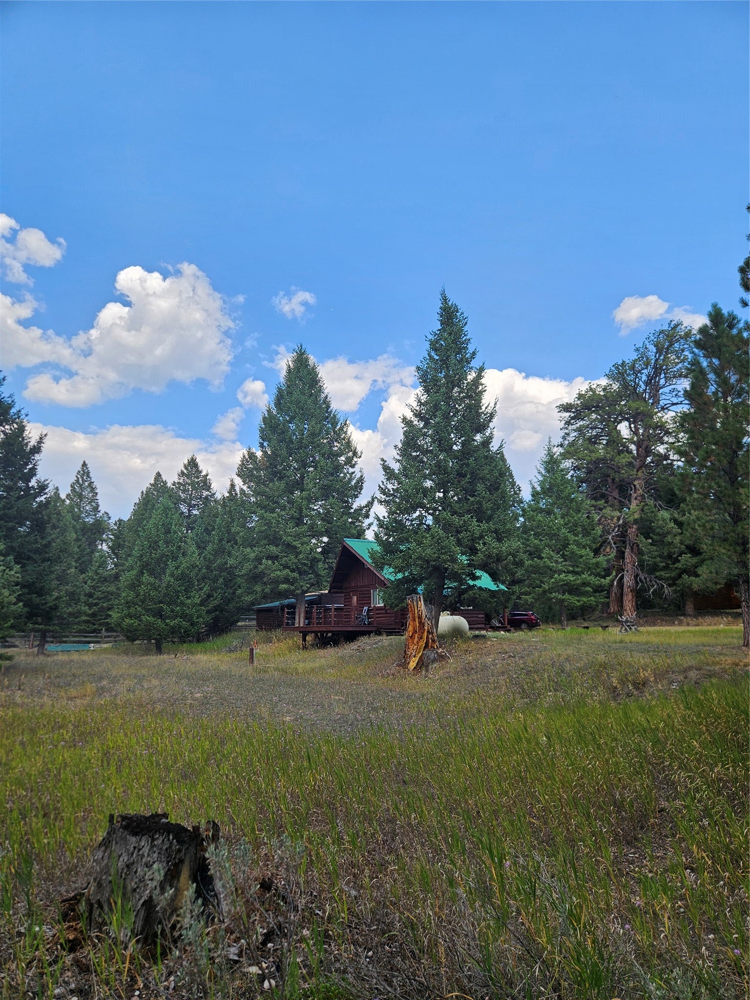 8880 Elk Trail Loop Lincoln, MT 59639 - Photo 51 of 55 Gallery Image 51