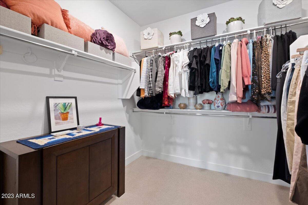 4546 South Riata Street, Unit 102 Gilbert, AZ 85297 - Photo 17 of 22 17-Closet