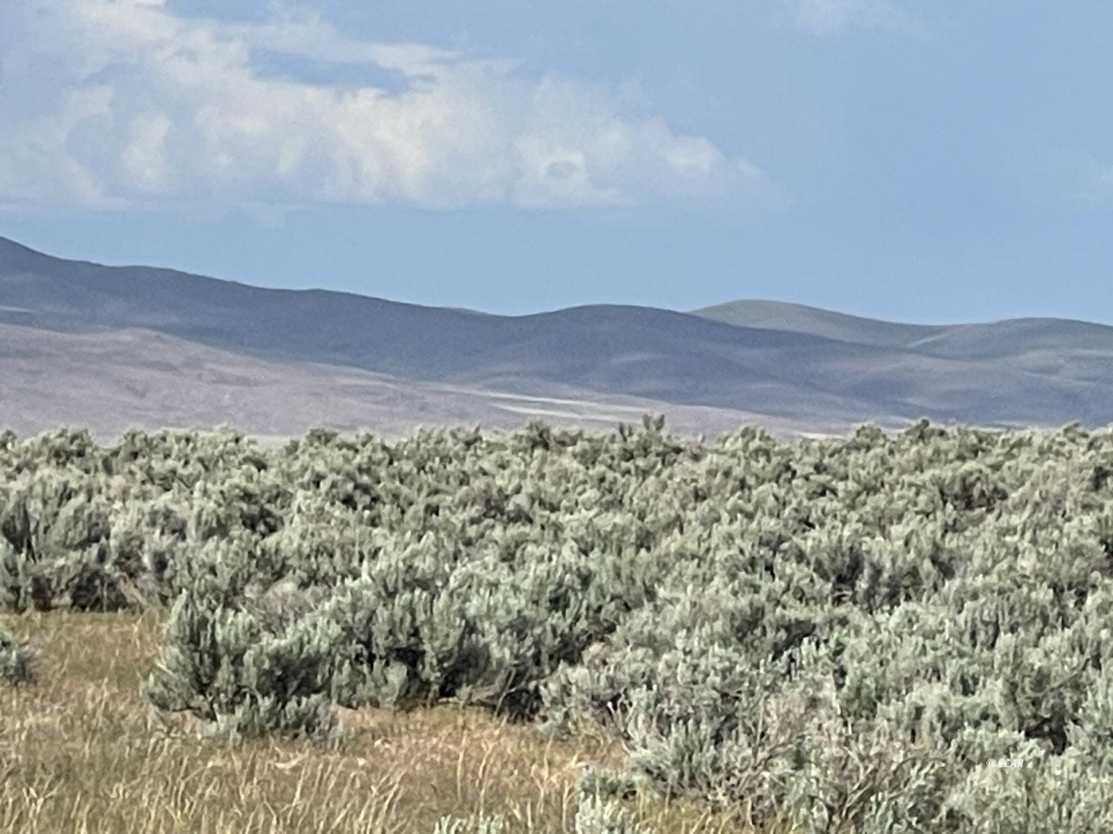 Button Point Golconda, NV 89414 - Photo 13 of 23
