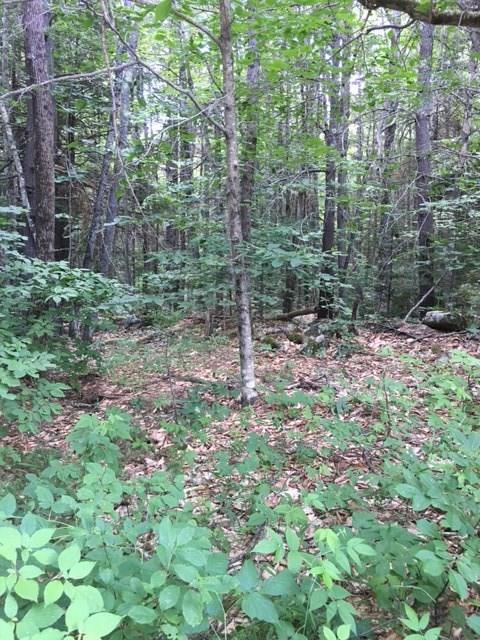 Lot 3 Dead River Road Bowdoin, ME 04287 - Photo 6 of 10 Photo