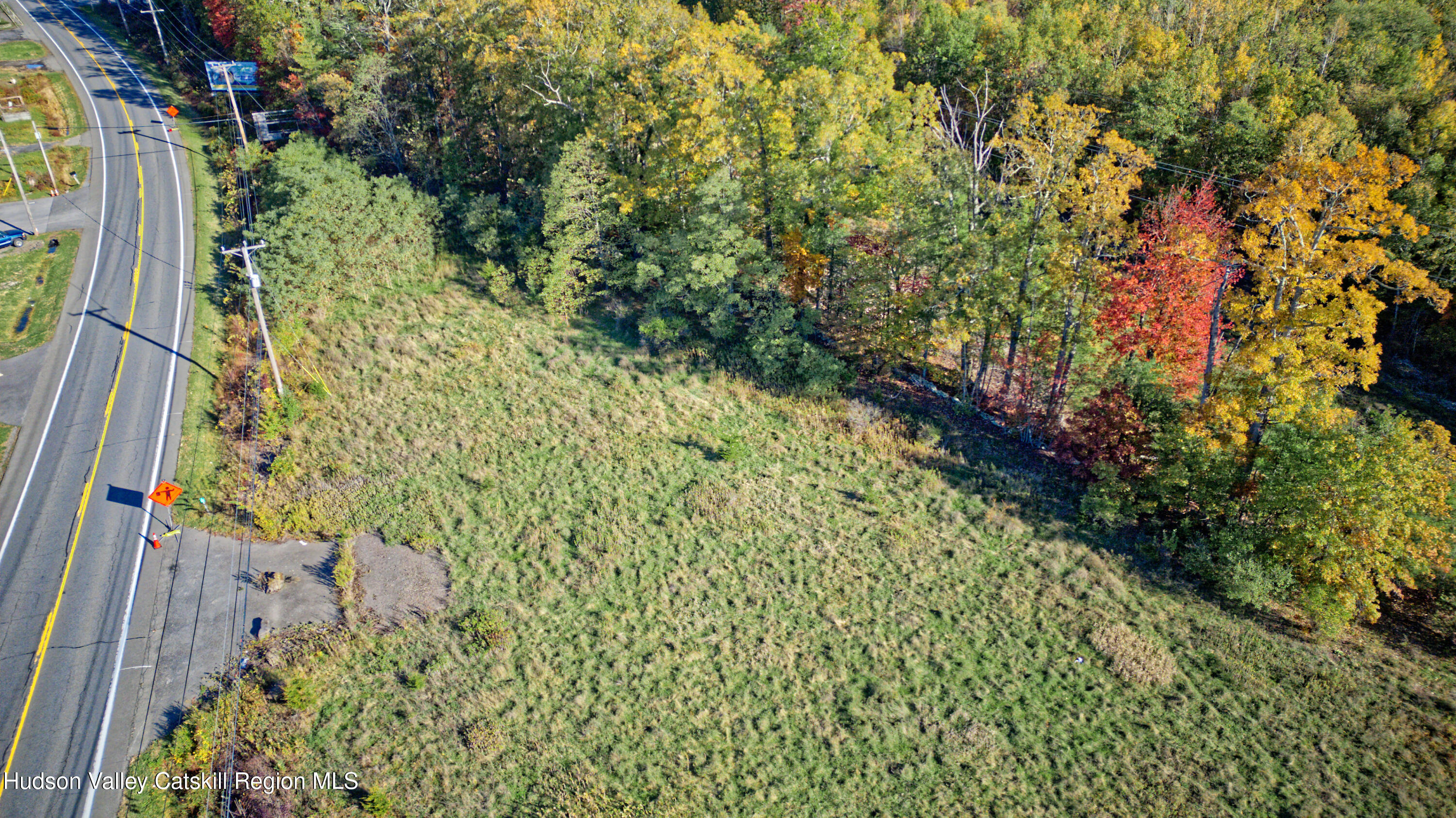7426 Highway 32 Cairo, NY 12413 - Photo 37 of 49 a view of a yard with plants