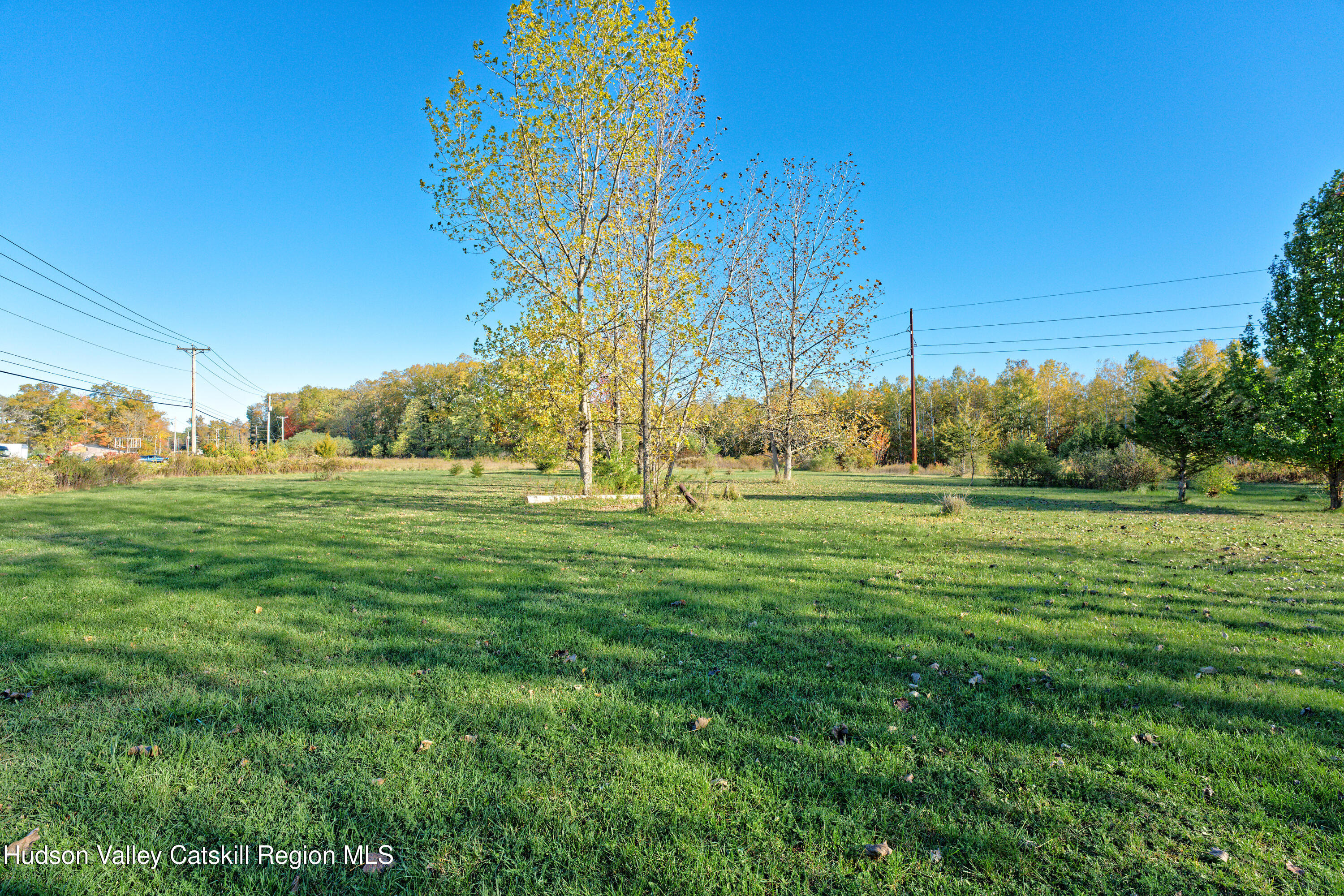 7426 Highway 32 Cairo, NY 12413 - Photo 42 of 49 Yard 5