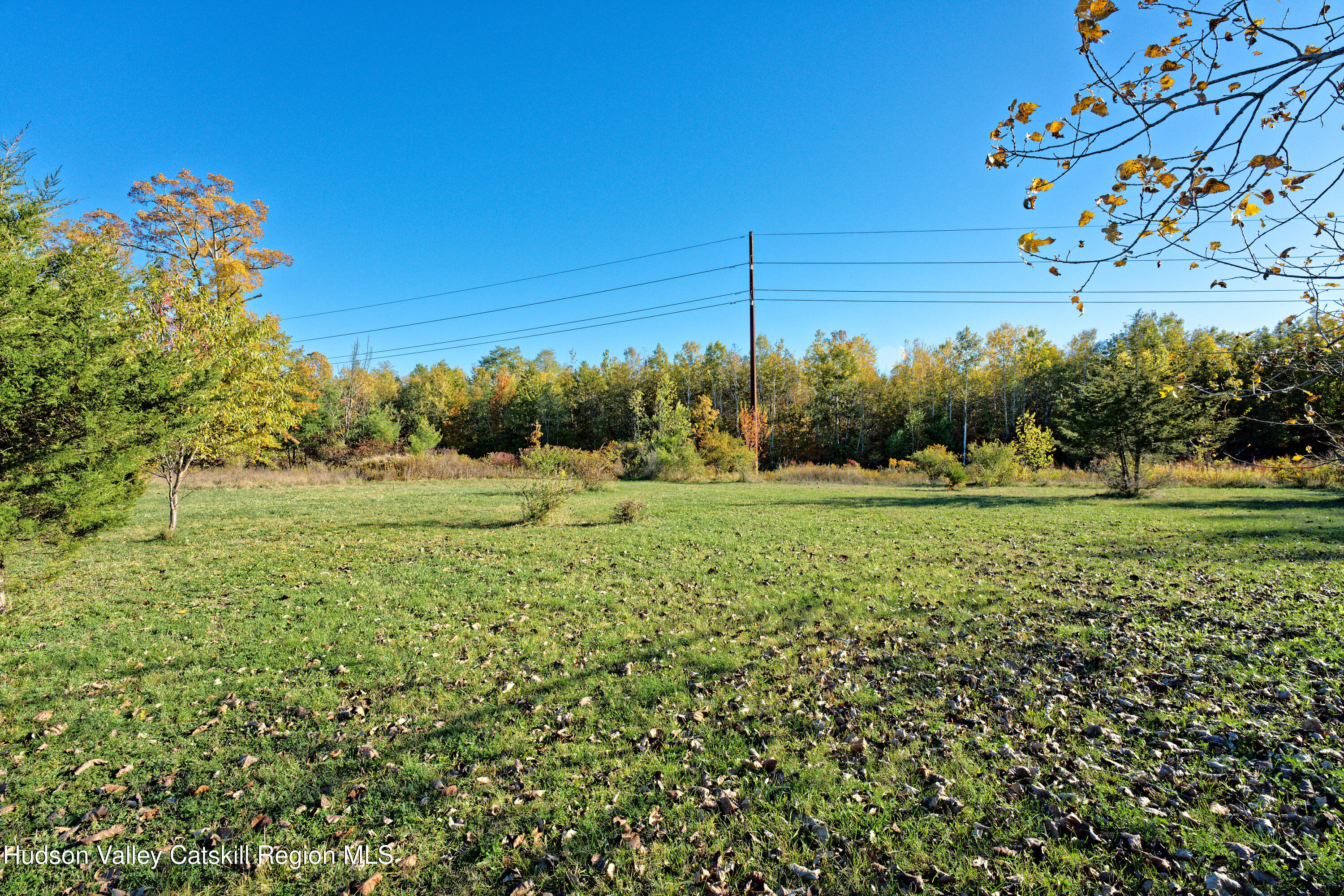 7426 Highway 32 Cairo, NY 12413 - Photo 44 of 49 a view of a green field