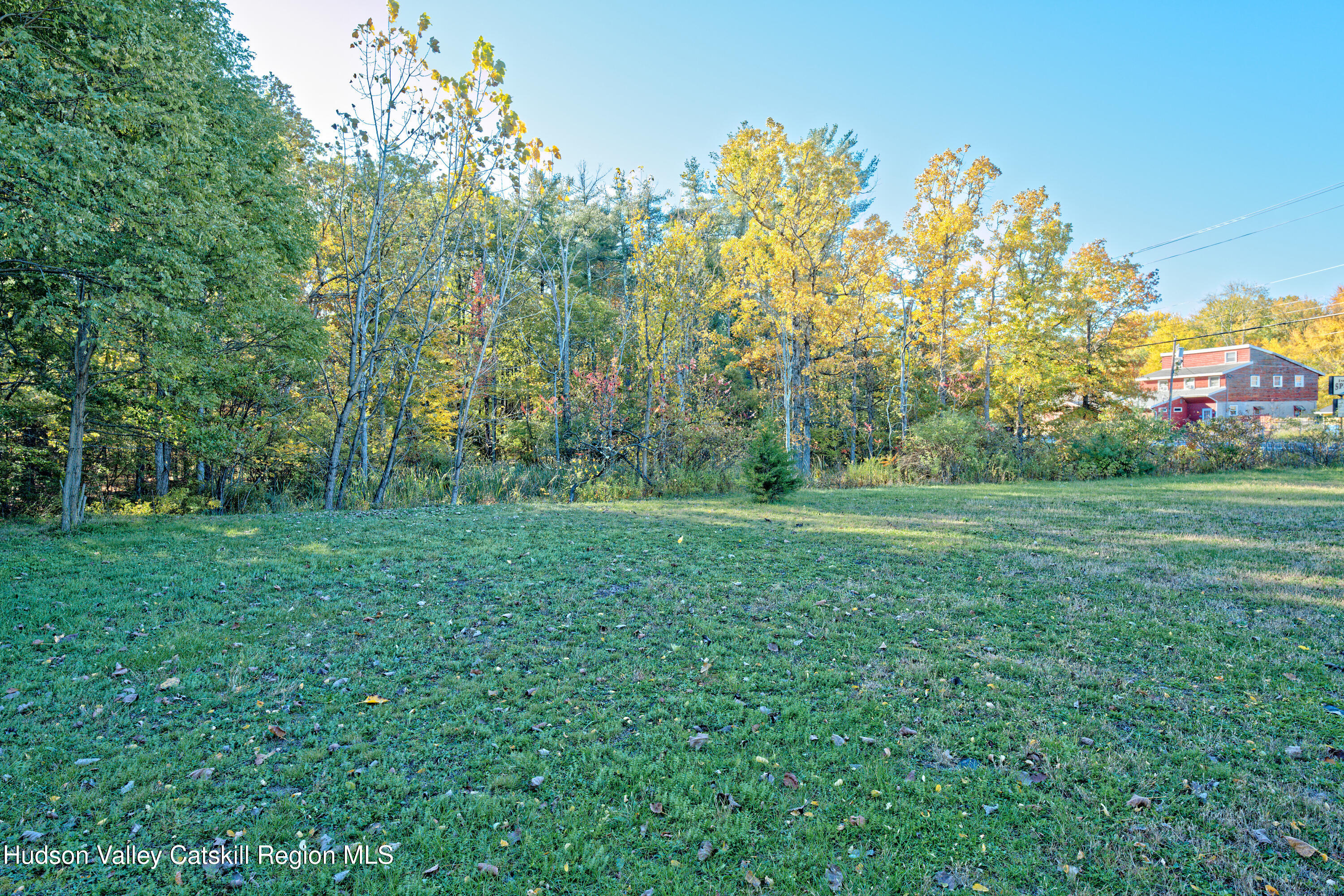 7426 Highway 32 Cairo, NY 12413 - Photo 48 of 49 Yard 11