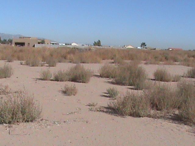 9006 South Dean (lot M) Road, Unit M Buckeye, AZ 85326 - Photo 1 of 3 Lot