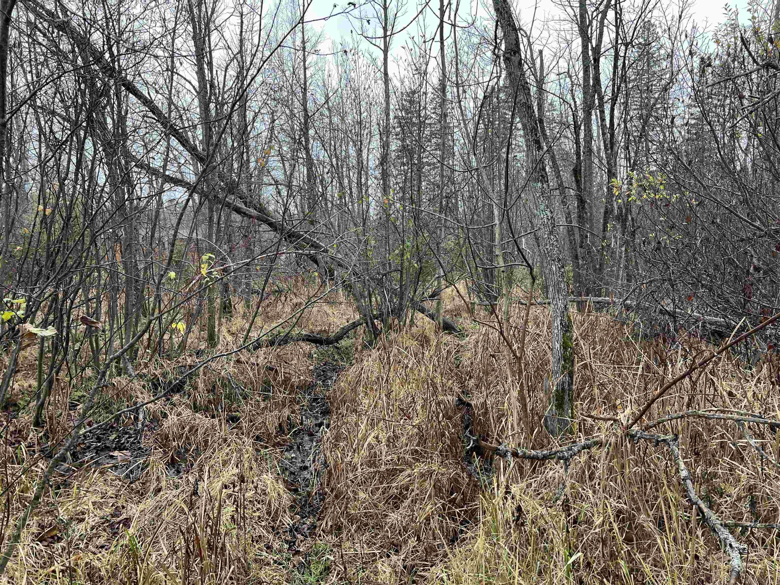 Long Rapids Road Alpena, MI 49707 - Photo 14 of 47 Gallery Image 14