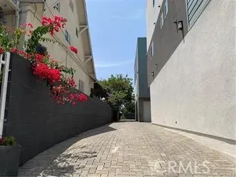 a potted plant sitting in front of a house