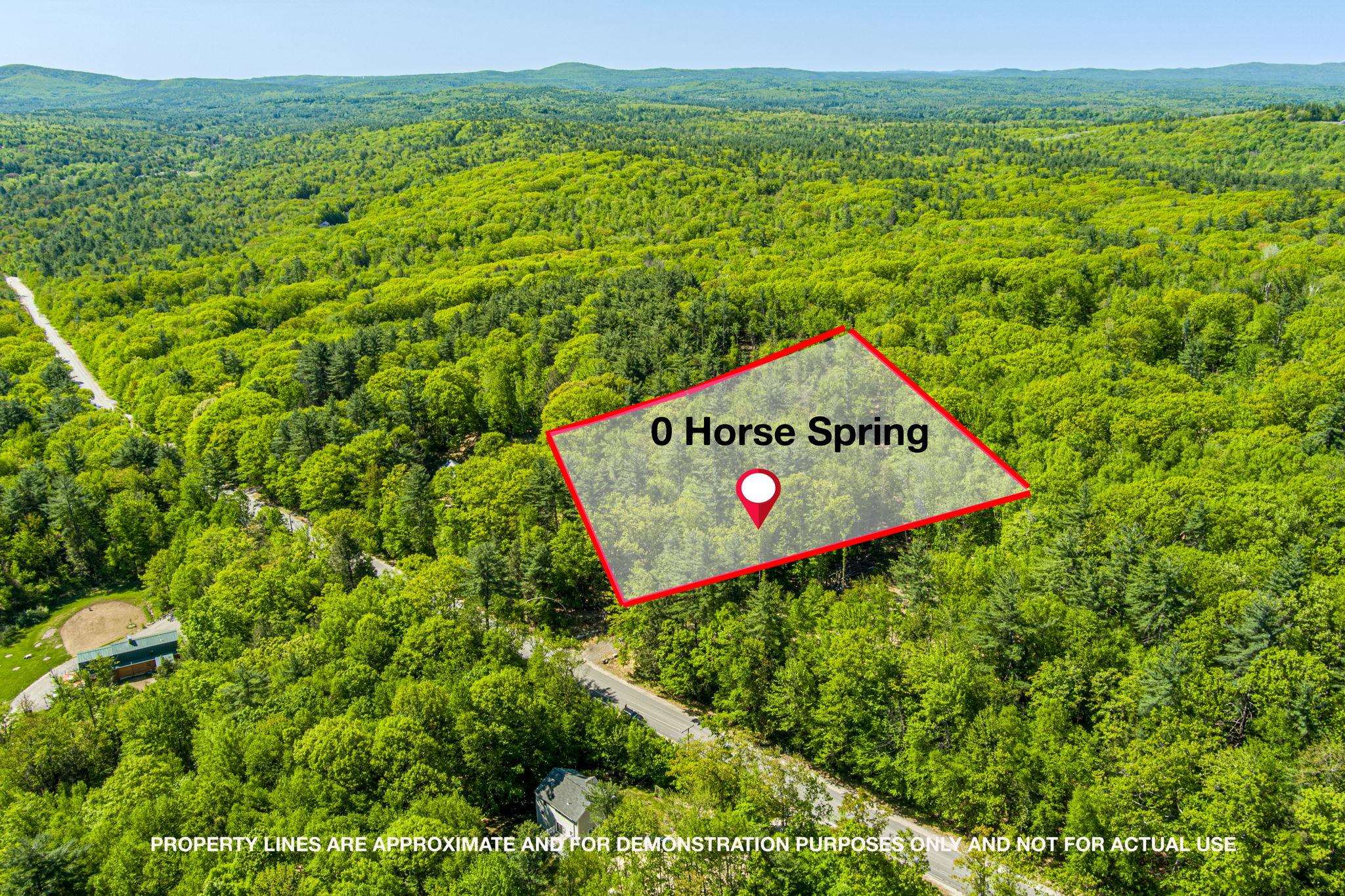 0 Horse Spring Hill Road, Unit 168 Weare, NH 03281 - Photo 1 of 31 Gallery Image 1