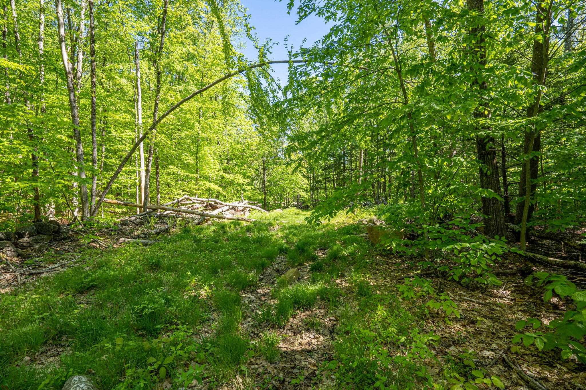 0 Horse Spring Hill Road, Unit 168 Weare, NH 03281 - Photo 11 of 31 Gallery Image 11