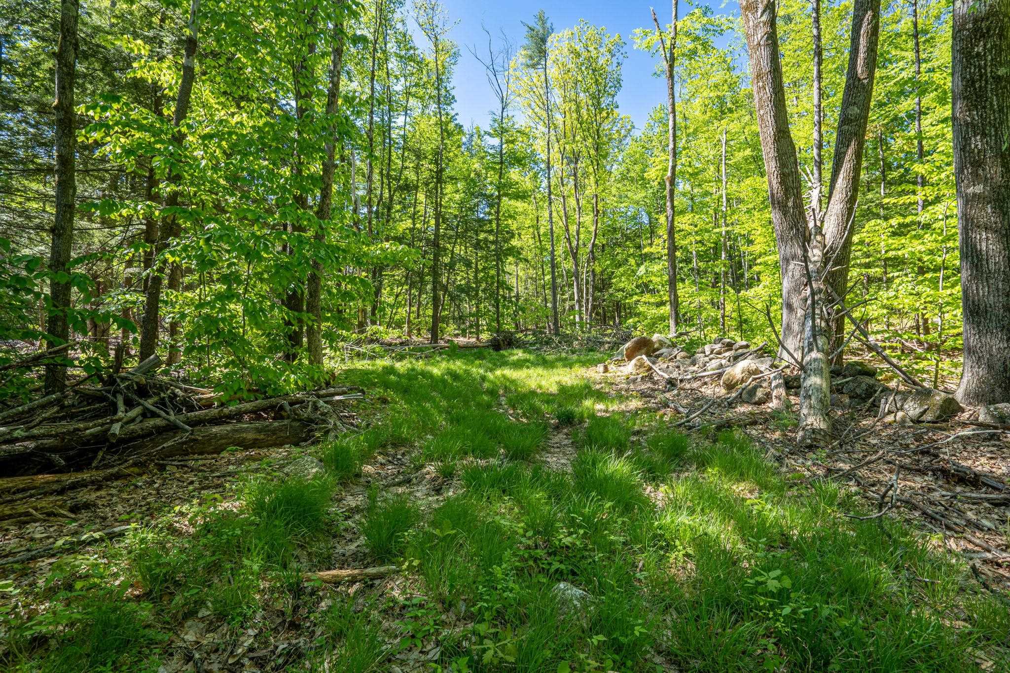 0 Horse Spring Hill Road, Unit 168 Weare, NH 03281 - Photo 12 of 31 Gallery Image 12