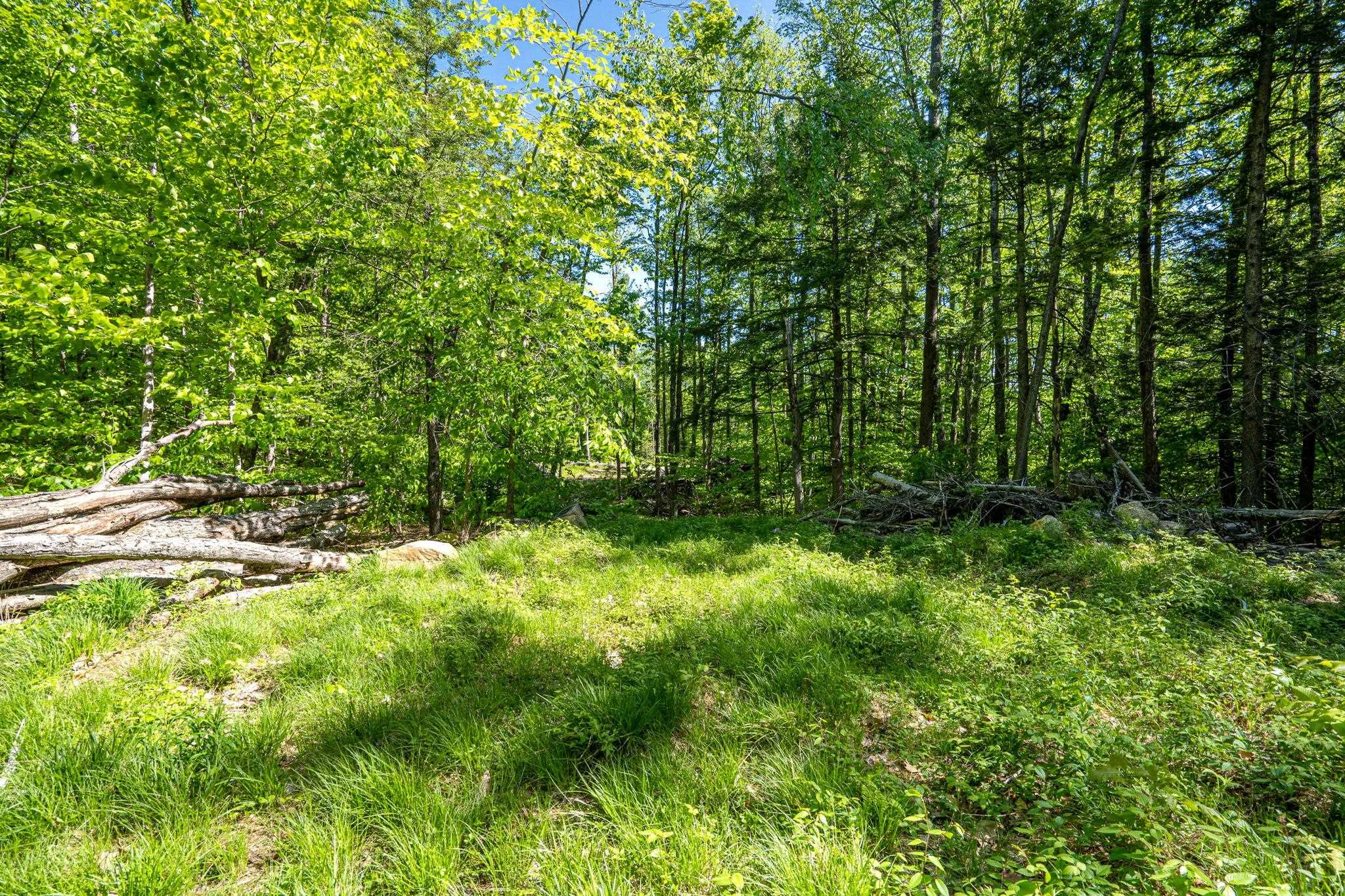 0 Horse Spring Hill Road, Unit 168 Weare, NH 03281 - Photo 14 of 31 Gallery Image 14