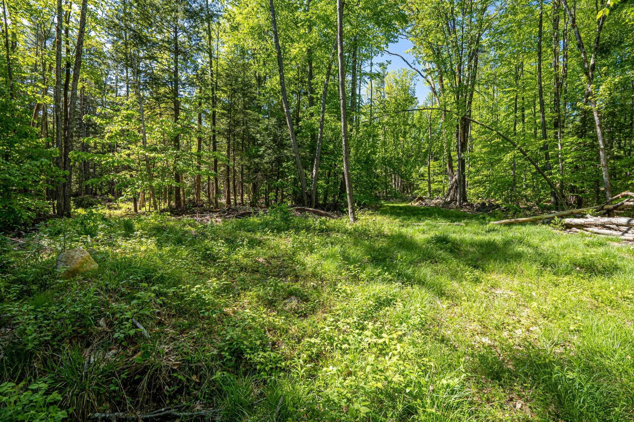 0 Horse Spring Hill Road, Unit 168 Weare, NH 03281 - Photo 15 of 31 Gallery Image 15