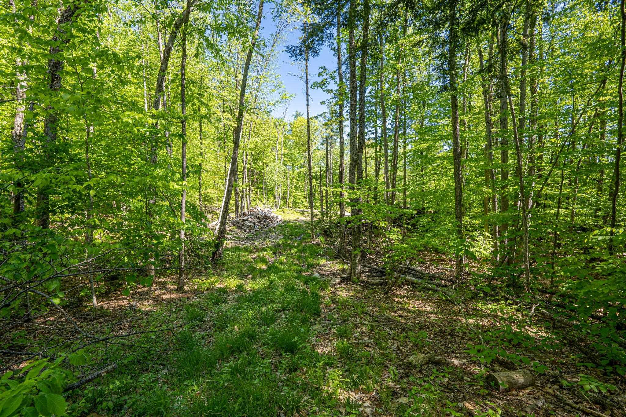 0 Horse Spring Hill Road, Unit 168 Weare, NH 03281 - Photo 16 of 31 Gallery Image 16
