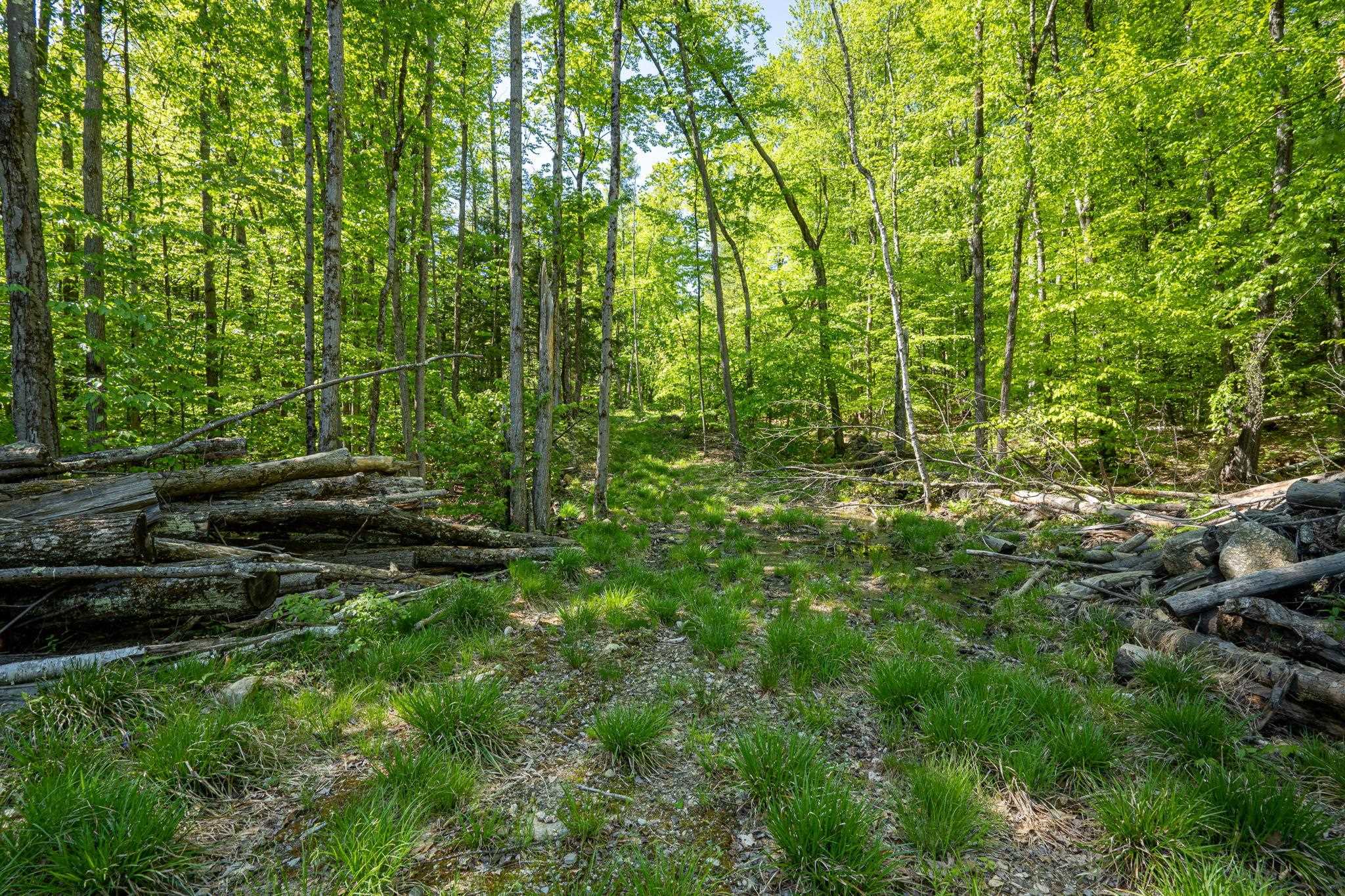 0 Horse Spring Hill Road, Unit 168 Weare, NH 03281 - Photo 17 of 31 Gallery Image 17