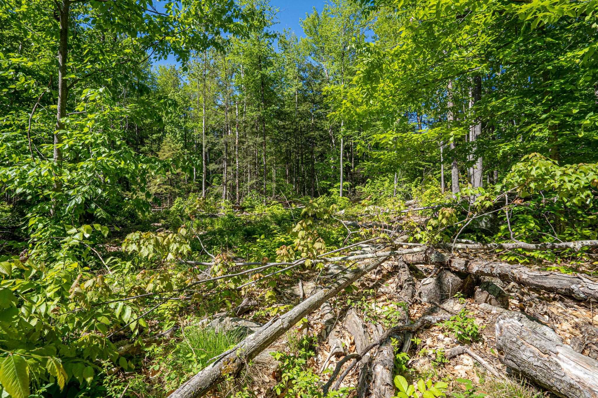 0 Horse Spring Hill Road, Unit 168 Weare, NH 03281 - Photo 29 of 31 Gallery Image 29