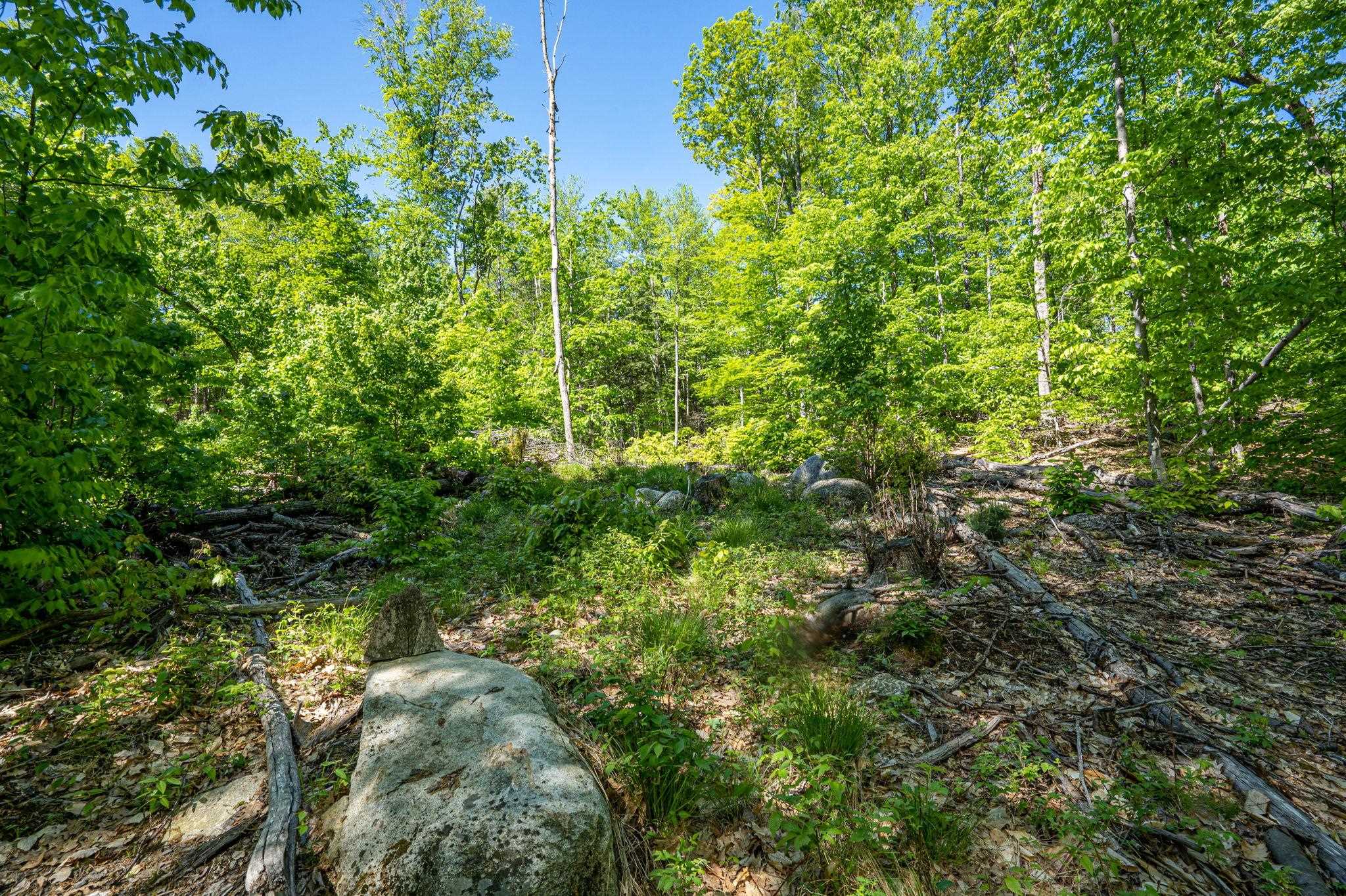 0 Horse Spring Hill Road, Unit 168 Weare, NH 03281 - Photo 3 of 31 Gallery Image 3
