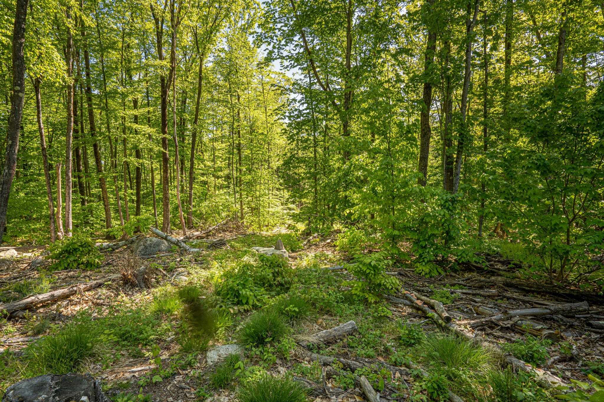 0 Horse Spring Hill Road, Unit 168 Weare, NH 03281 - Photo 31 of 31 Gallery Image 31