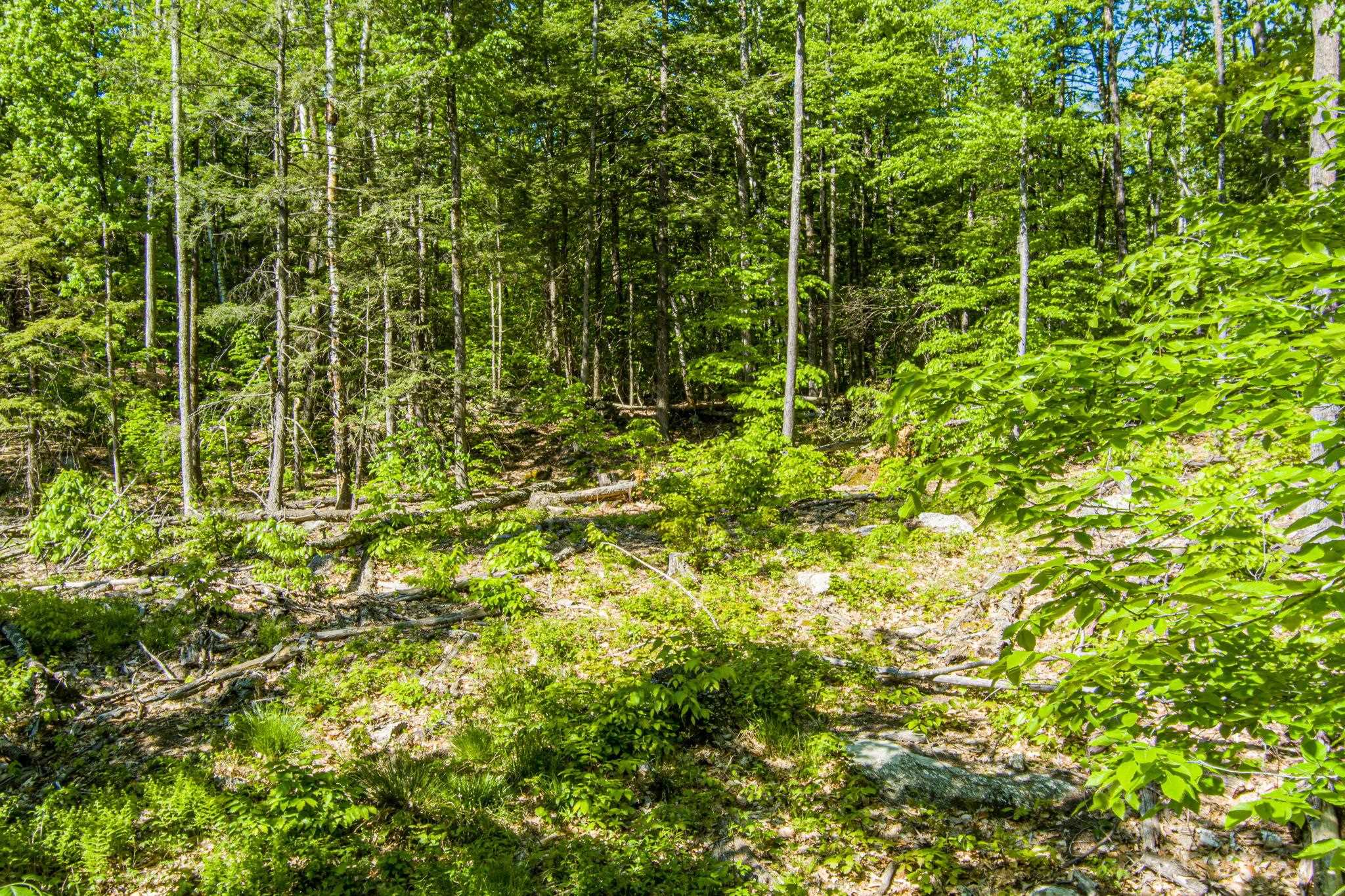 0 Horse Spring Hill Road, Unit 168 Weare, NH 03281 - Photo 5 of 31 Gallery Image 5
