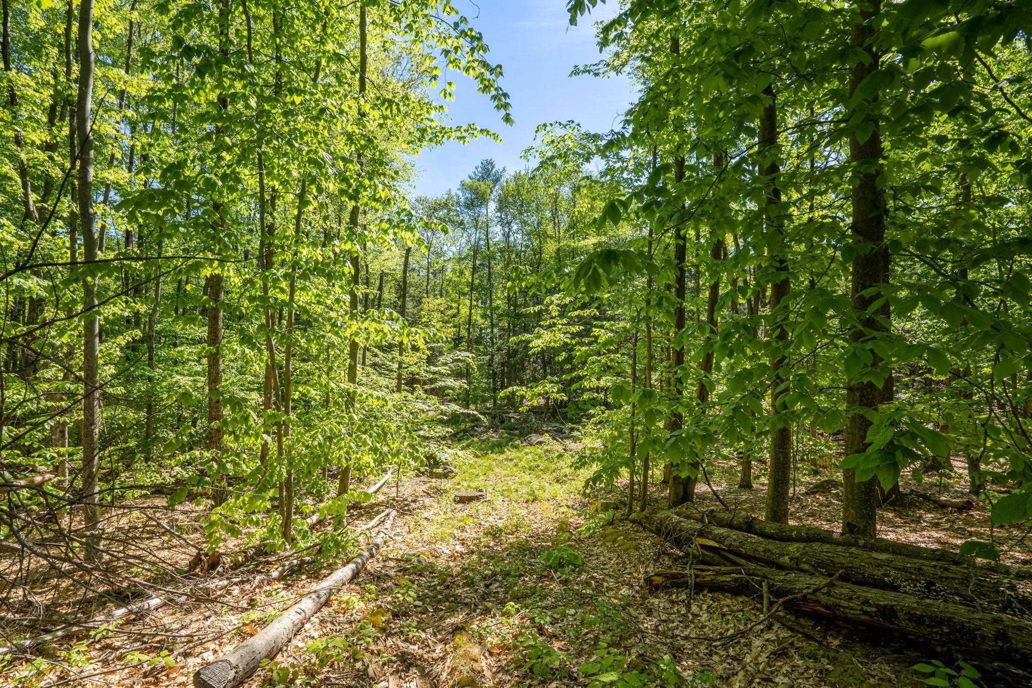 0 Horse Spring Hill Road, Unit 168 Weare, NH 03281 - Photo 6 of 31 Gallery Image 6