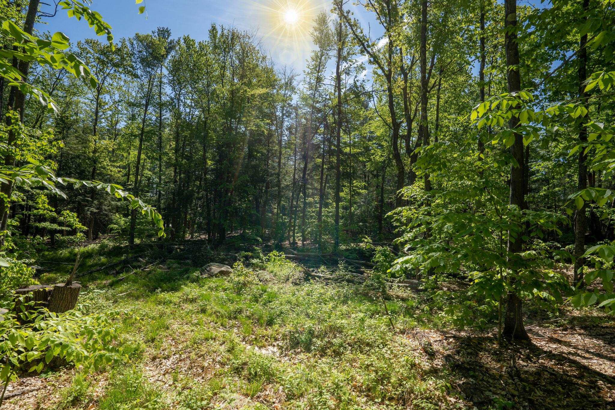 0 Horse Spring Hill Road, Unit 168 Weare, NH 03281 - Photo 7 of 31 Gallery Image 7