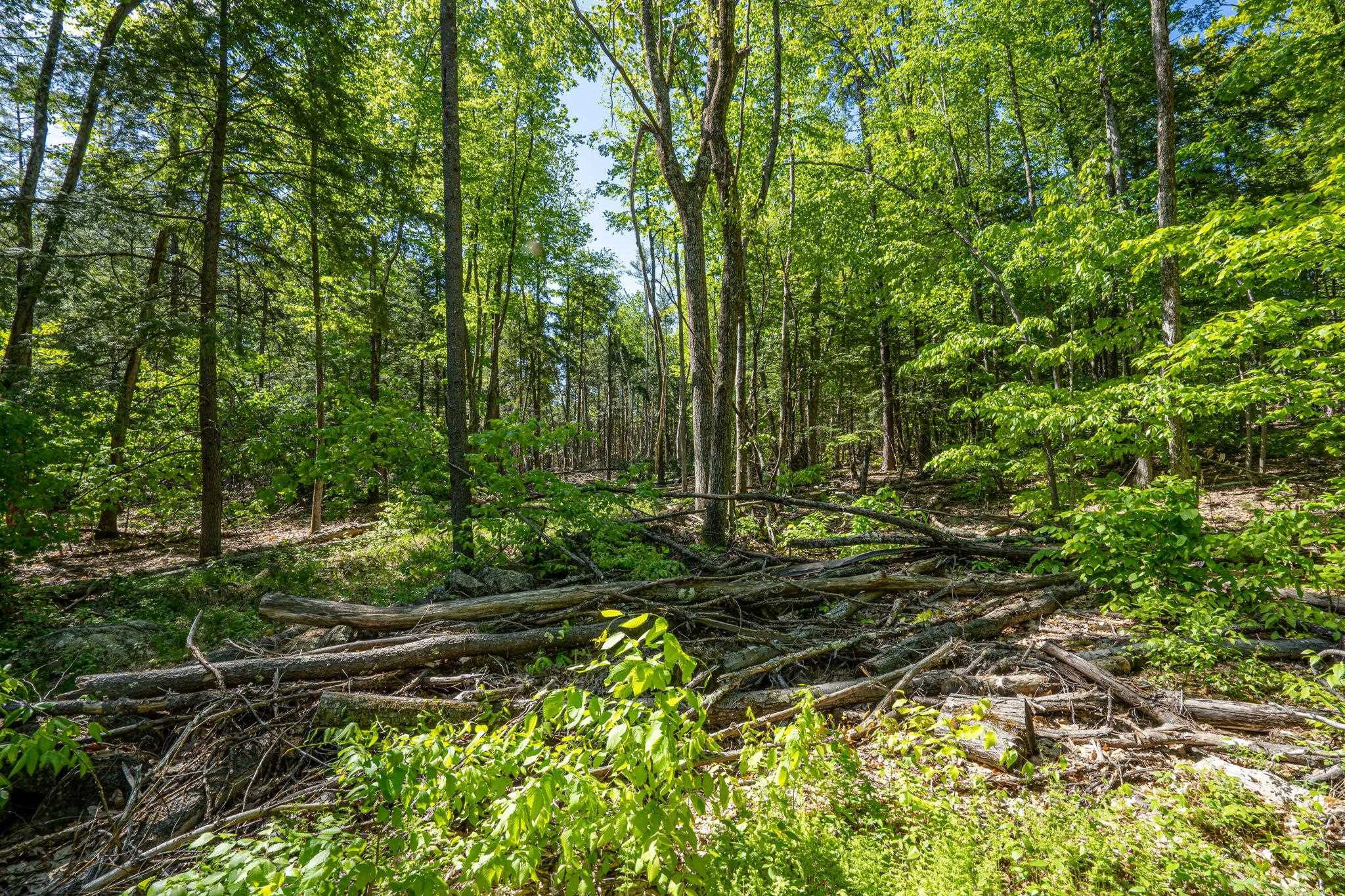 0 Horse Spring Hill Road, Unit 168 Weare, NH 03281 - Photo 8 of 31 Gallery Image 8