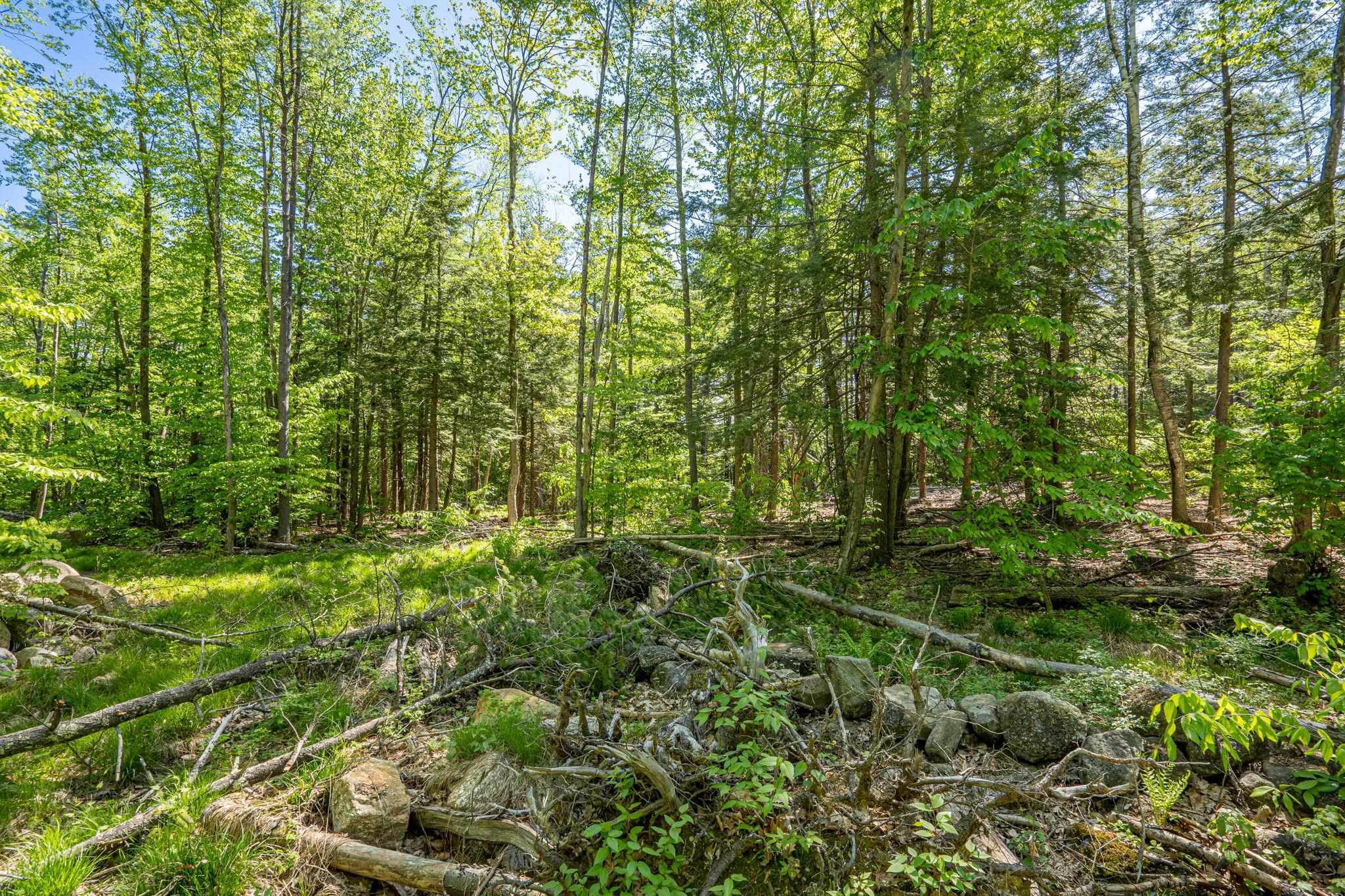 0 Horse Spring Hill Road, Unit 168 Weare, NH 03281 - Photo 9 of 31 Gallery Image 9