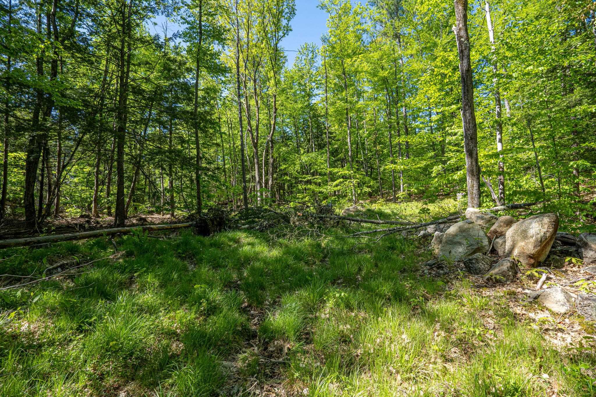 0 Horse Spring Hill Road, Unit 168 Weare, NH 03281 - Photo 10 of 31 Gallery Image 10