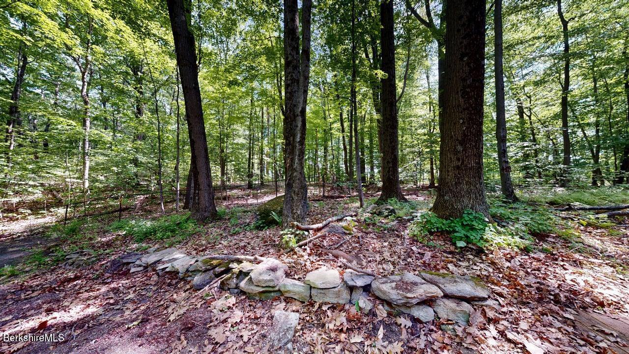38 Hubbard Street Lenox, MA 01240 - Photo 22 of 24 Backyard