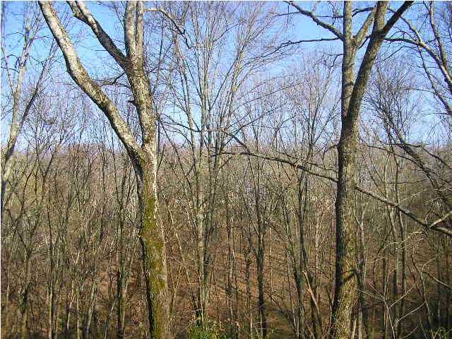 6346 Fairview Road Hixson, TN 37343 - Photo 9 of 9 Additional Photo