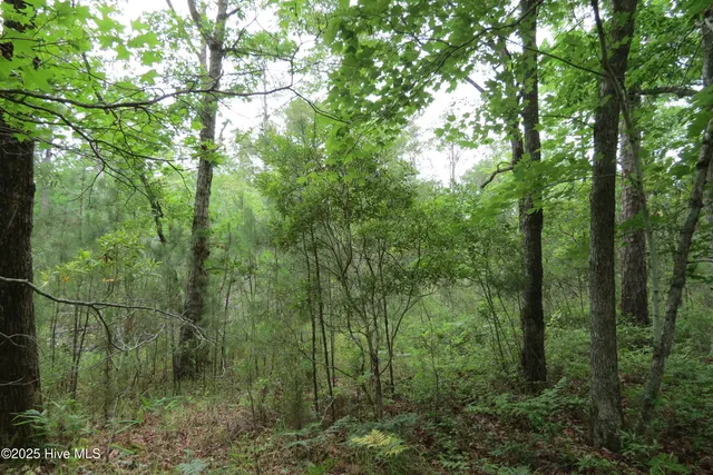 $20,000 | 117 Shoreline Court, Oriental, NC 28571