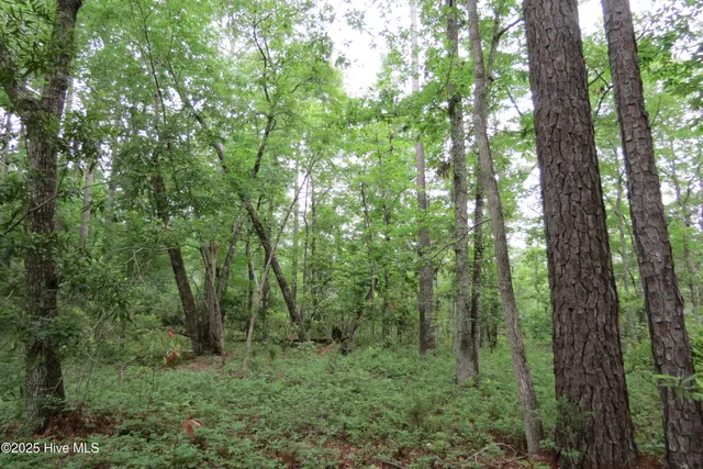 $20,000 | 117 Shoreline Court, Oriental, NC 28571