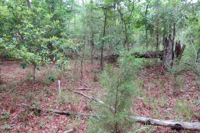 $20,000 | 117 Shoreline Court, Oriental, NC 28571