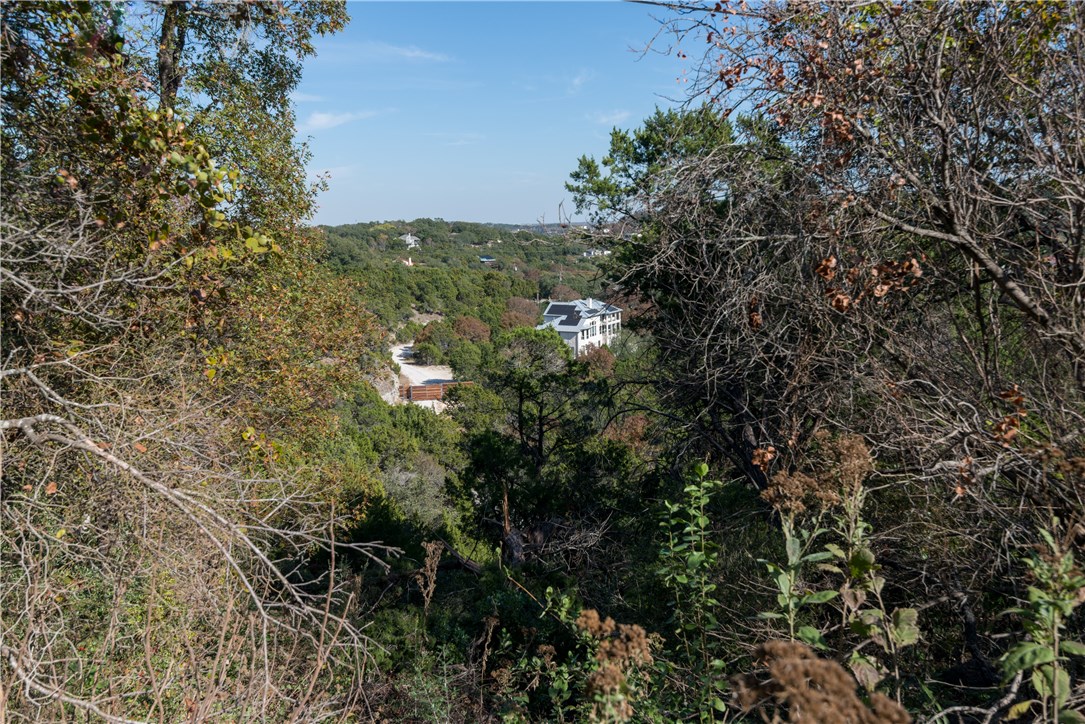 0 The High Road Austin, TX 78746 - Photo 1 of 1 a view of a forest with a tree