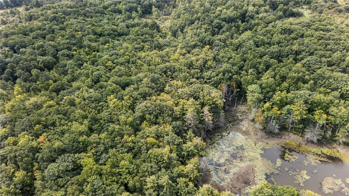 3380 Wells Road Italy, NY 14418 - Photo 34 of 38 Gallery Image 34