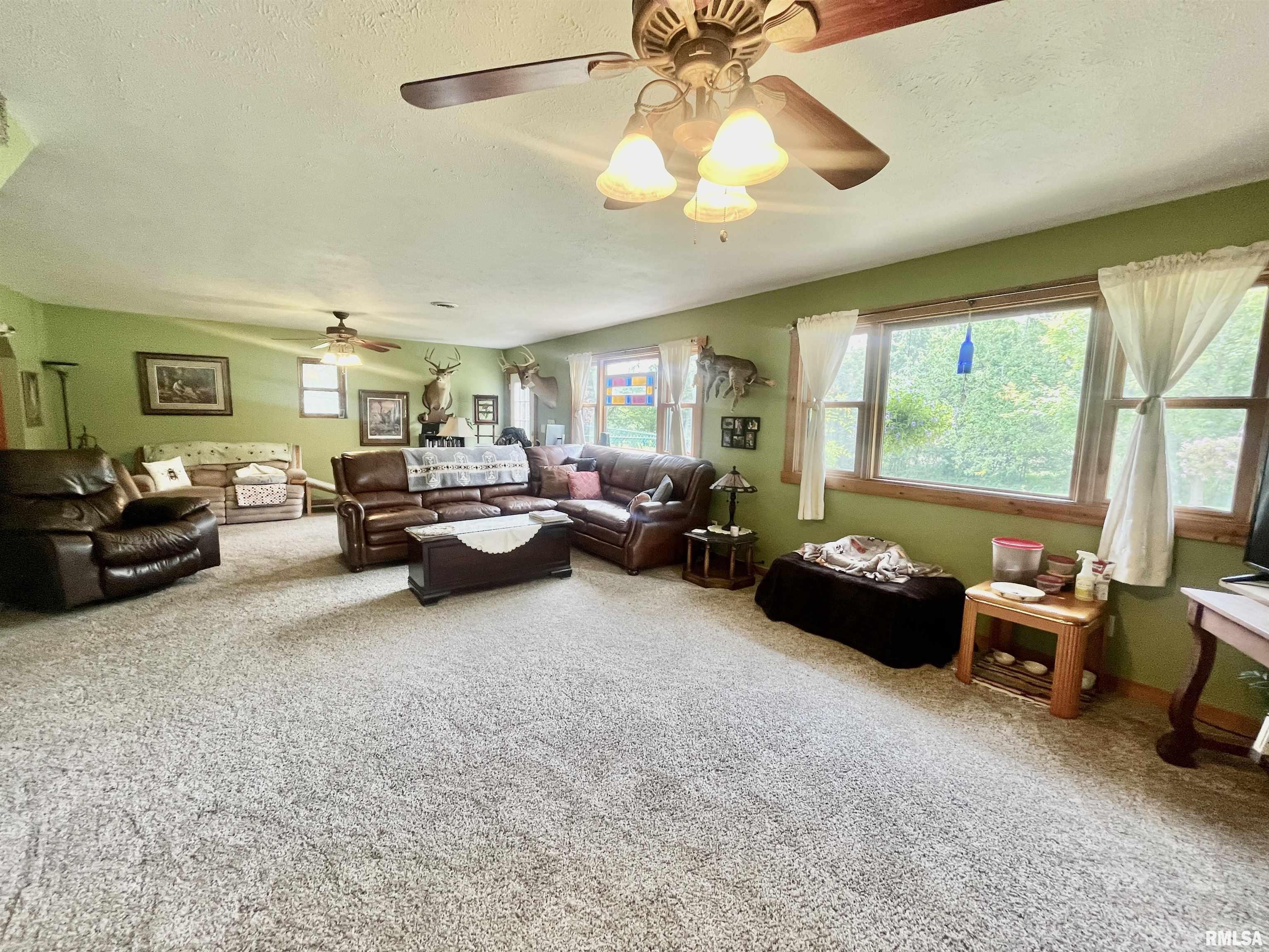1455 Old Cypress Road Vienna, IL 62995 - Photo 12 of 60 Gallery Image 12